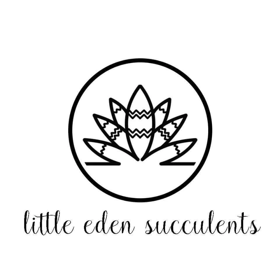 little.eden.succulents