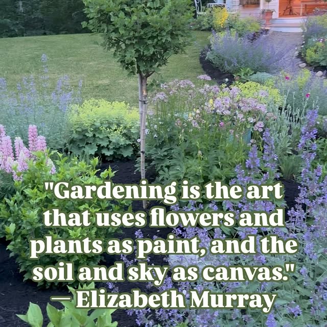 Post by clark.cottage.gardens