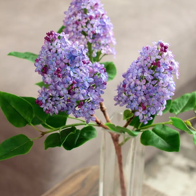 Post by marinagolovina21