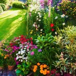 Bibby's profile picture