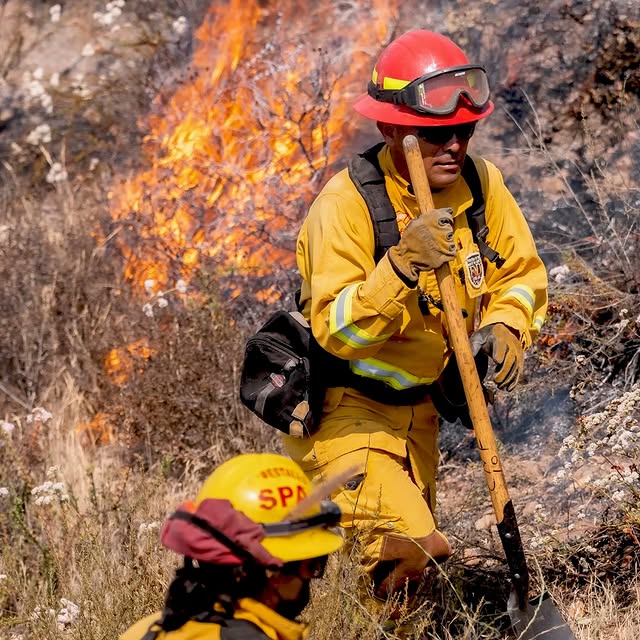 Post by calfire_trainingprogram