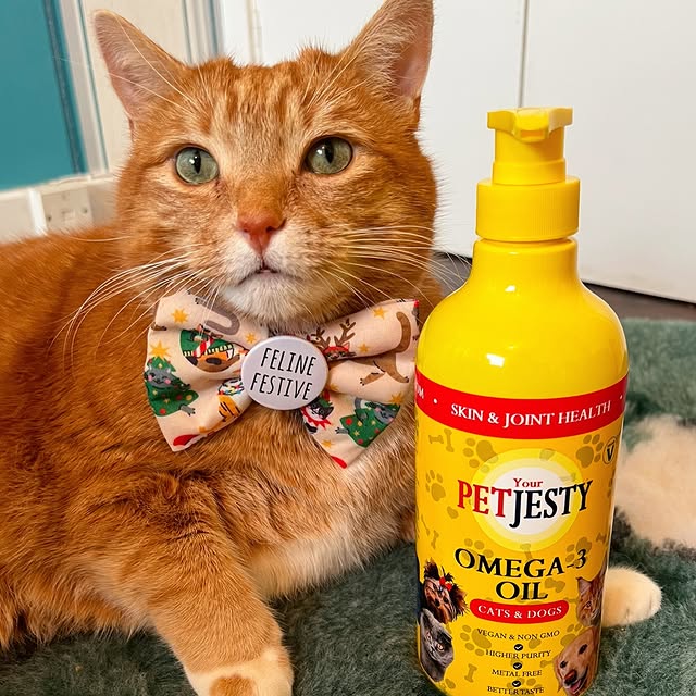 Post by a_ginger_cat_named_rascal