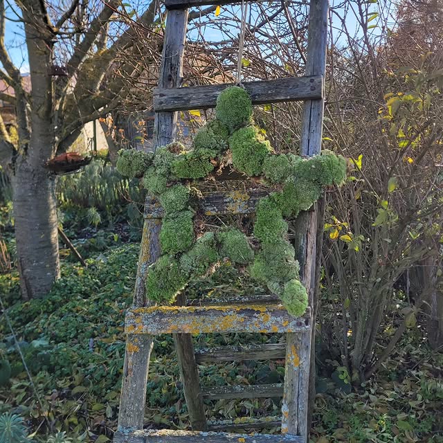 Post by gartenaugenblicke