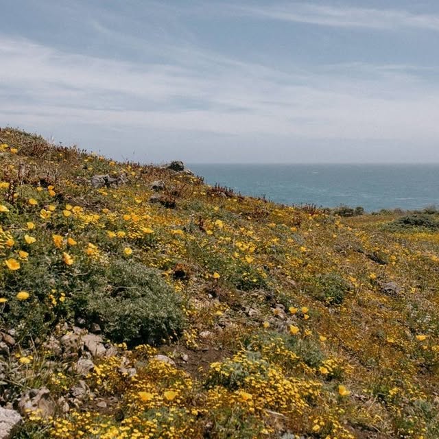 Post by lucasandlucaslandarch