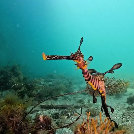 Post by sammyglenn_dives