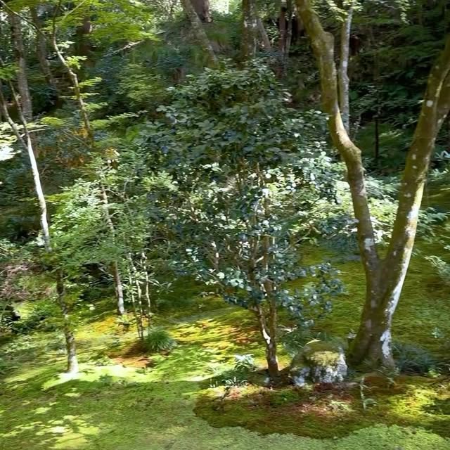 Post by themoosegarden