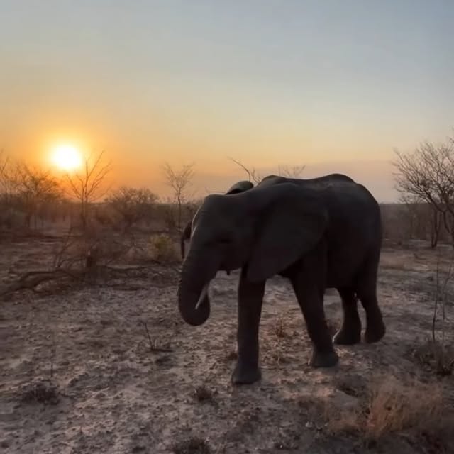 Post by _sarahfalconer_