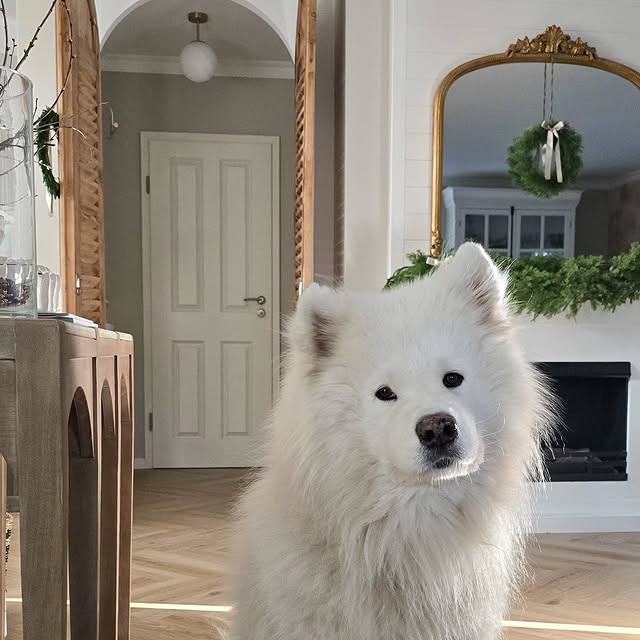 Post by rhomeandstyle