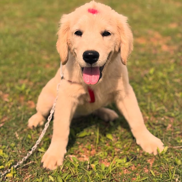 Post by iaminfinitye_