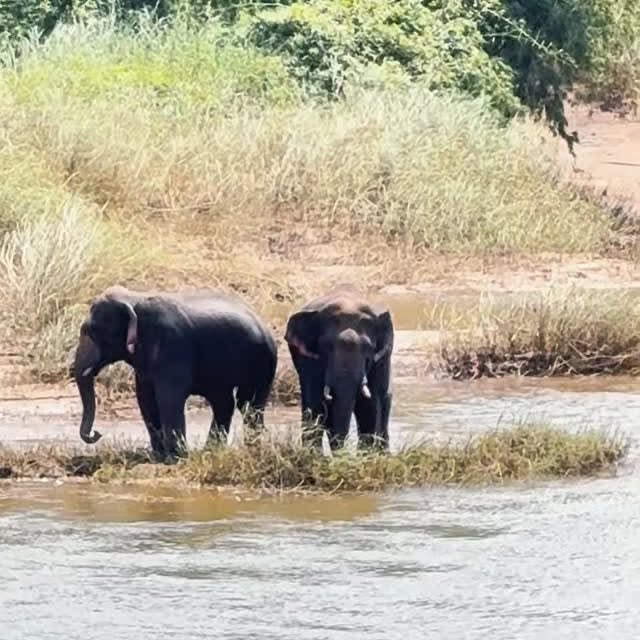 Post by kavitheshh.09__