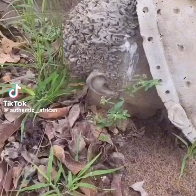 Post by africaunlocked