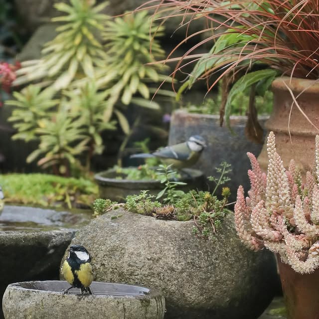 Post by katrins_garten