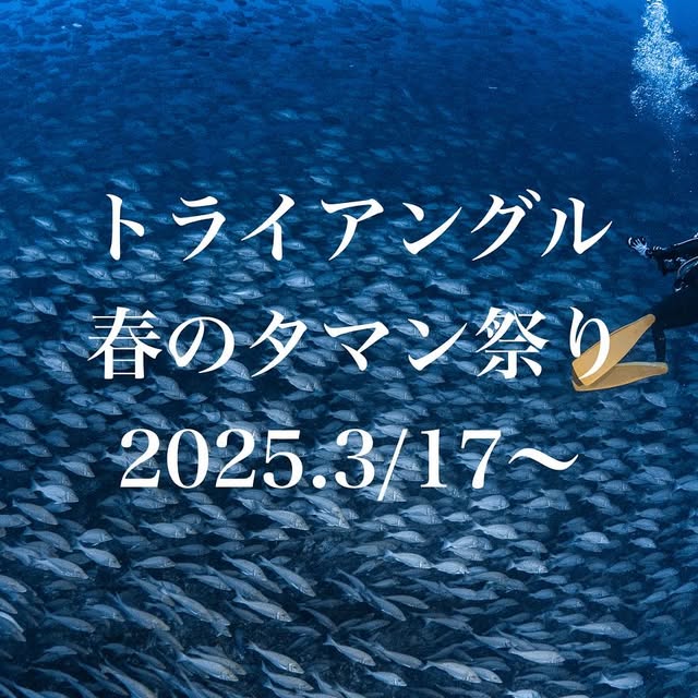 Post by dive_journey