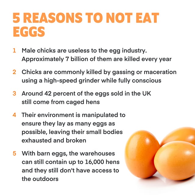 Post by weareveganuary