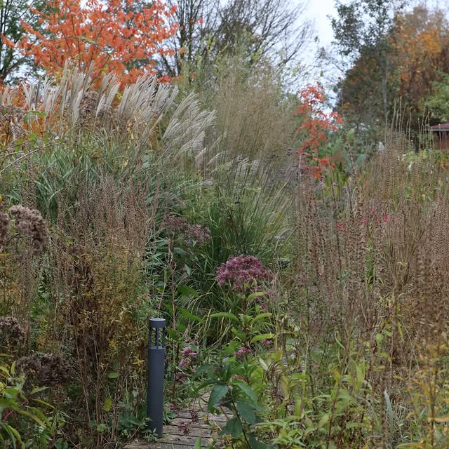 Post by basilikum_und_kaktus