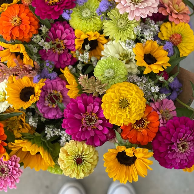 Post by bochnerfarms