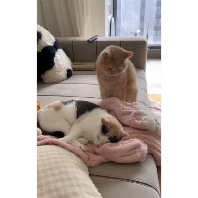 Post by kittiez_charms