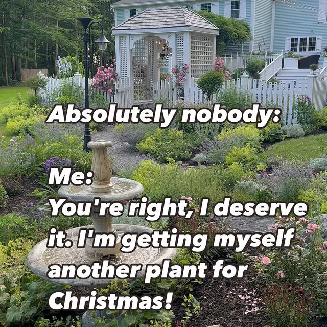 Post by clark.cottage.gardens