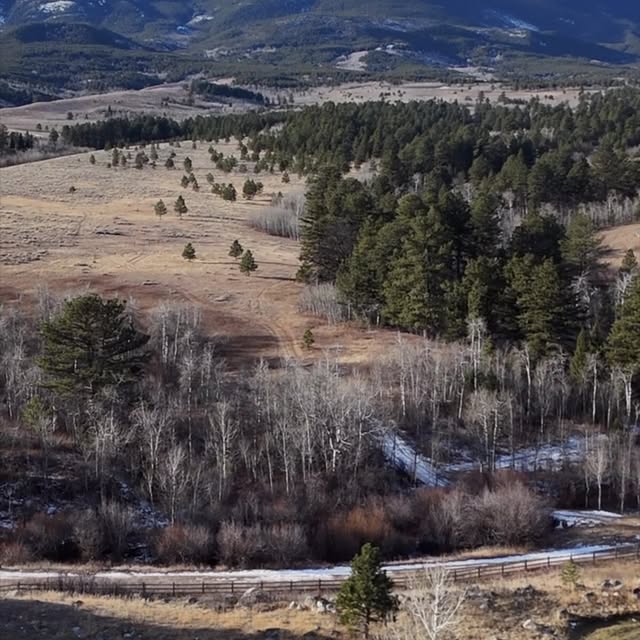 Post by stenewoodwork