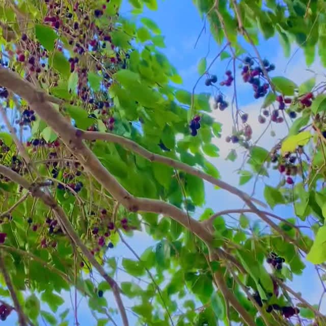 Post by pradeep_lifestyel