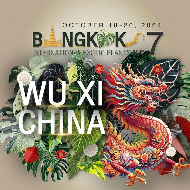 Post by mama.treehouse