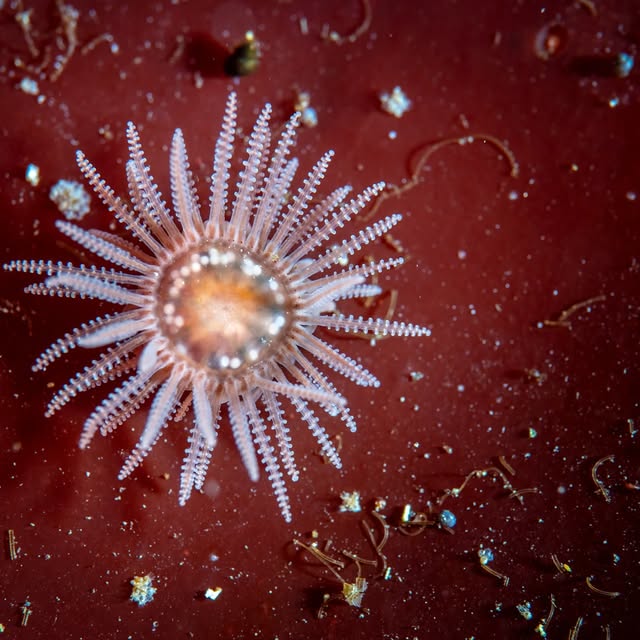 Post by underwaterpat