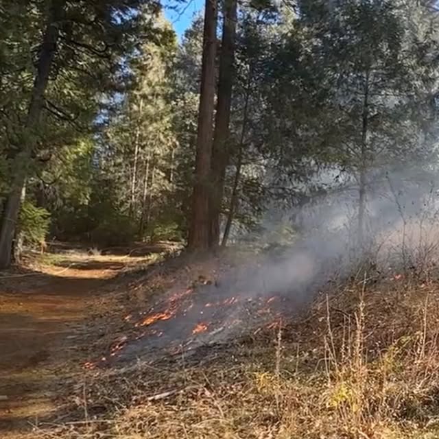 Post by thejosephpowell