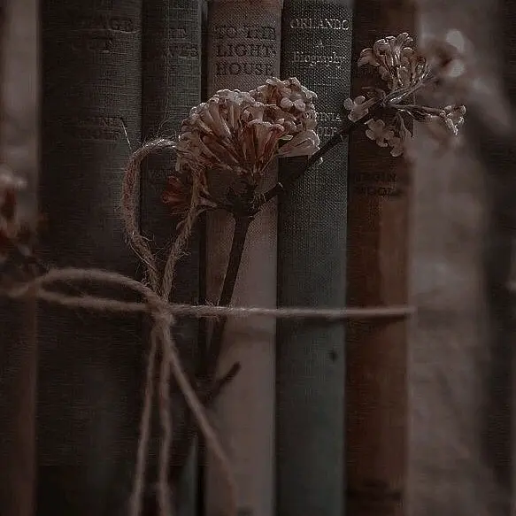 metaphor's profile picture