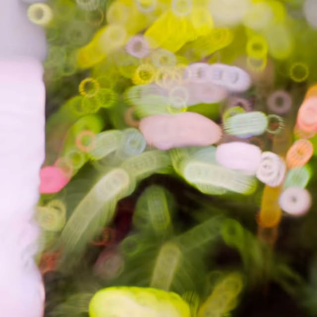 Post by tukangtamanmedann