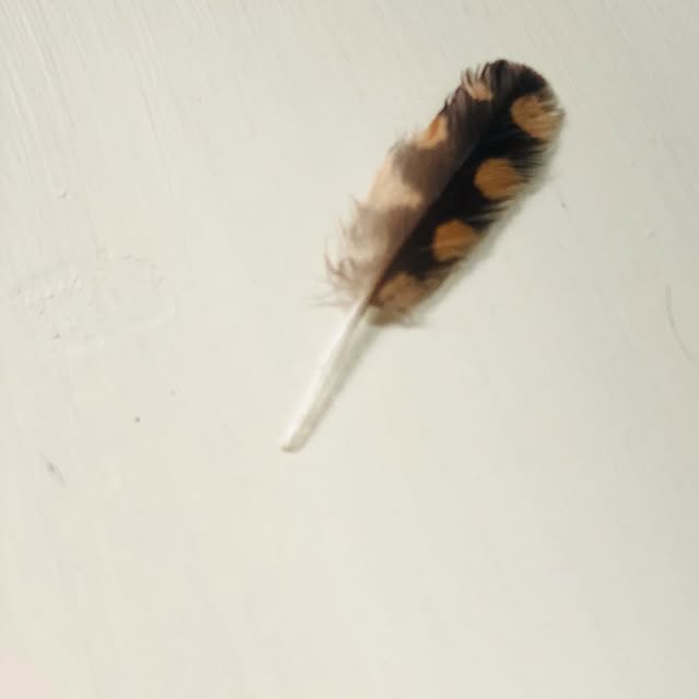 Post by sharondhillon