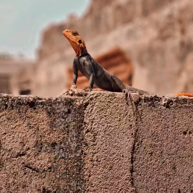 Post by tasteofafricavibes