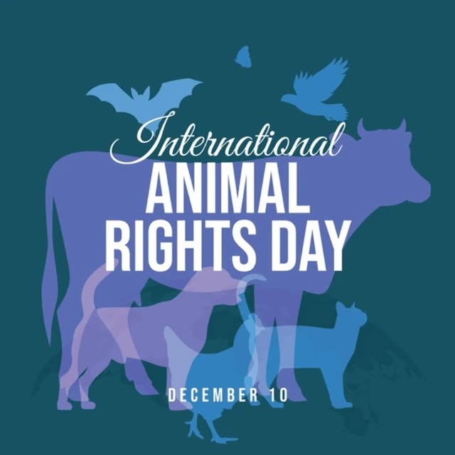 Post by hungryplanetfoods