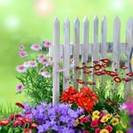 GARDEN LOVER's profile picture