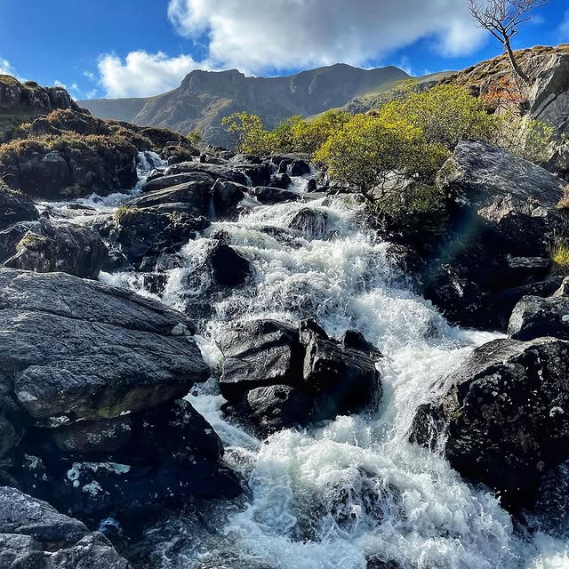 Post by vanessas.views