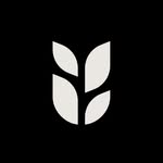 Grain's profile picture