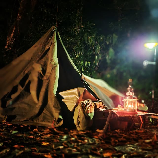 Post by shu_camp_log