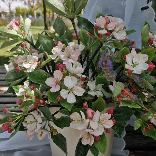 Post by sogukporselen_dekor