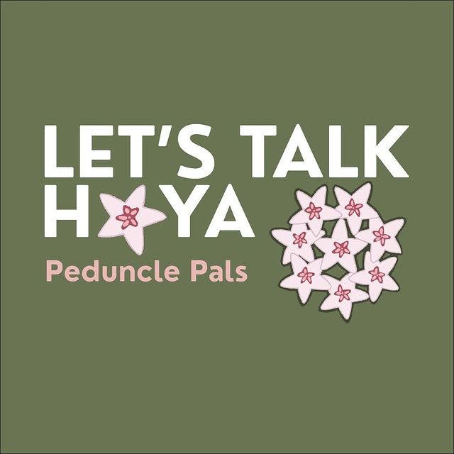 Post by lets.talkhoya