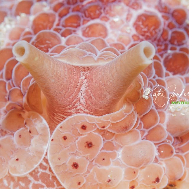 Post by katejonkerphotography