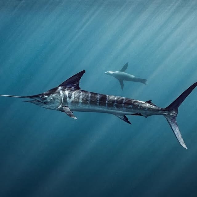 Post by underthesea_perfection