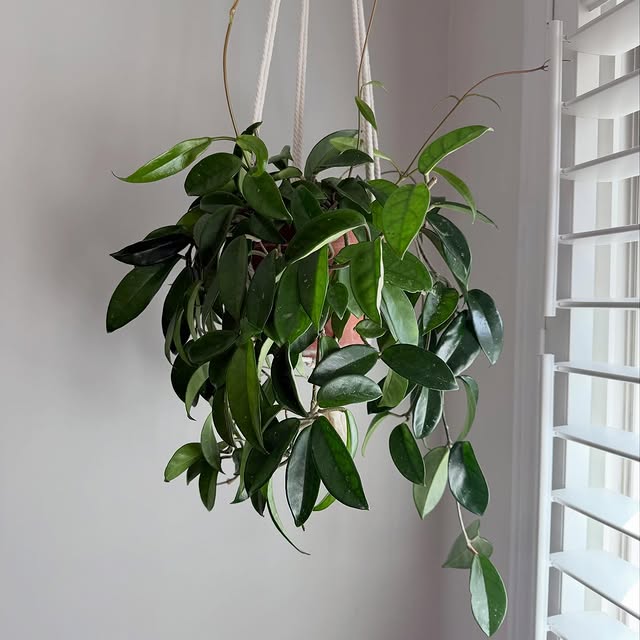 Post by philobrandon