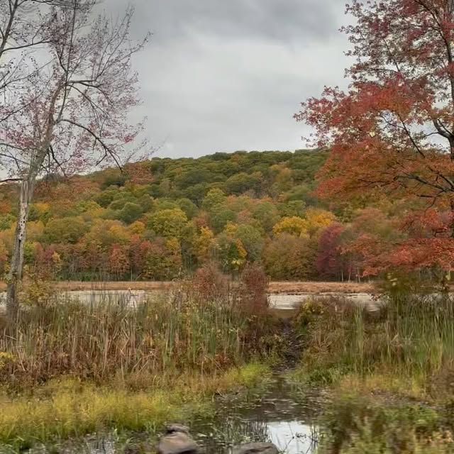 Post by laurelandashfarm