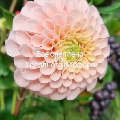 Post by galinakhabibova