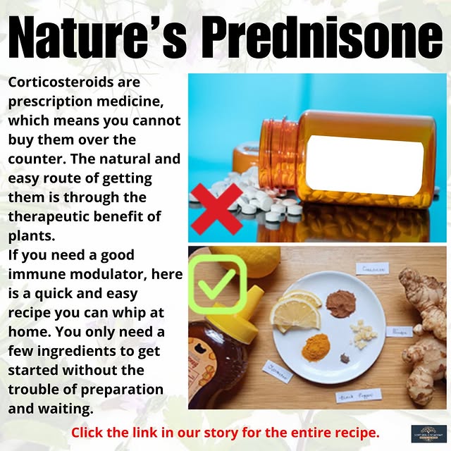 Post by thelostskillsacademy