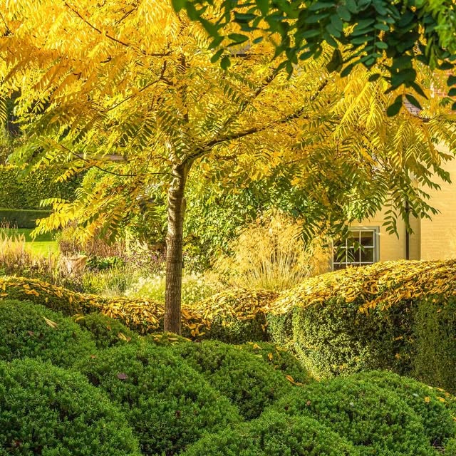 Post by jeremy.n.allen