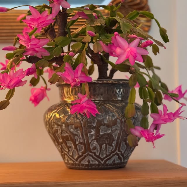 Post by suekentathome