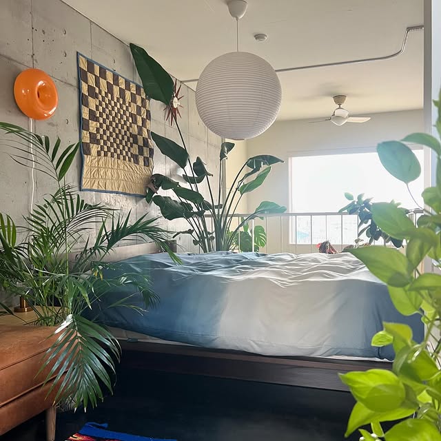 Post by _mojikaroom_