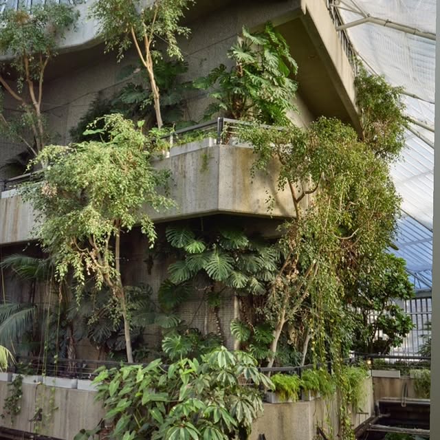 Post by harrisbuggstudio