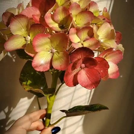 Post by territoryofflowers