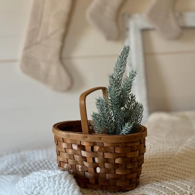 Post by farmhousegreen